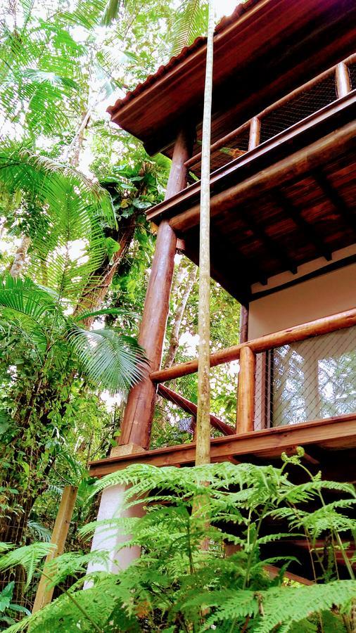 Felix Jungle House *