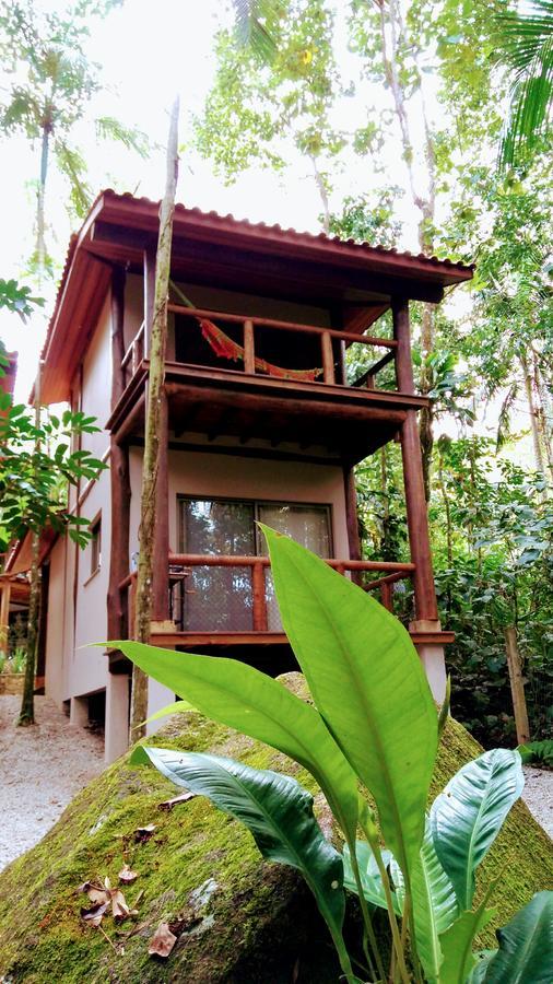 Felix Jungle House